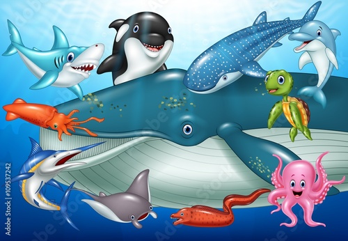 Cartoon sea animals photo