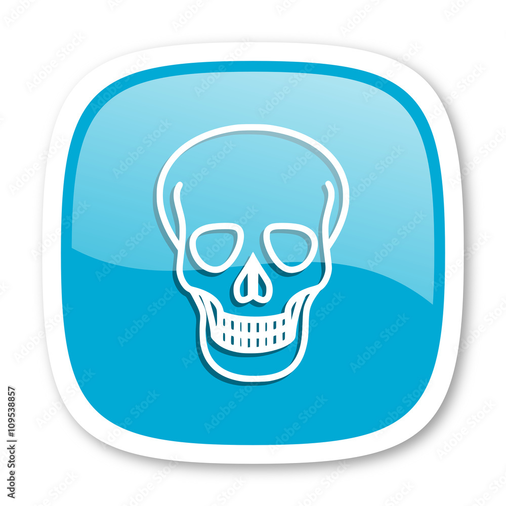 skull blue glossy web icon