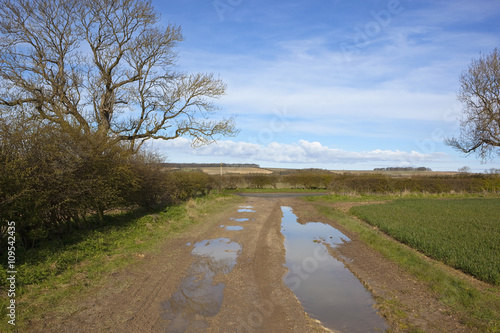 yorkshire wolds country footpath with puddles in springtime