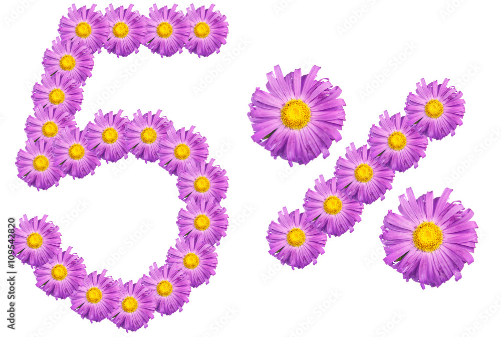 figures 5% of the letters written by purple flowers figures 5% of the letters written by purple flowers