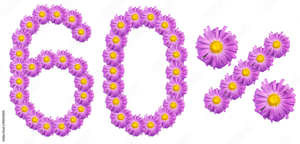 figures 60% of the letters written by purple flowers