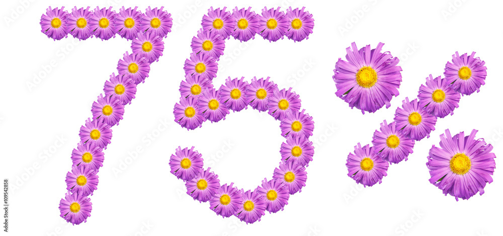 figures 75% of the letters written by purple flowers figures 75% of the letters written by purple flowers