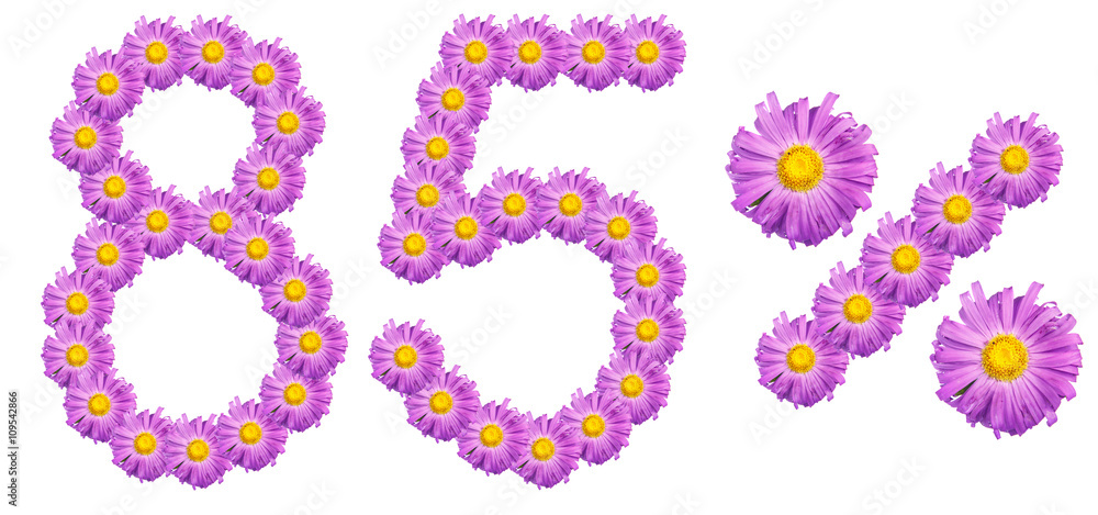 figures 85% of the letters written by purple flowers