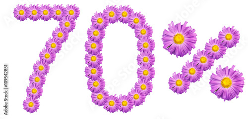 figures 70% of the letters written by purple flowers