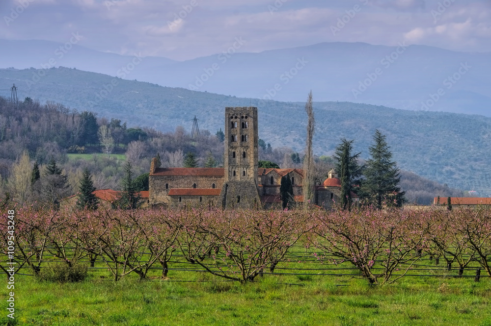 Naklejka premium Abbaye Saint-Michel-de-Cuxa