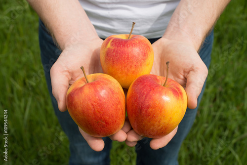 fresh apples in hands