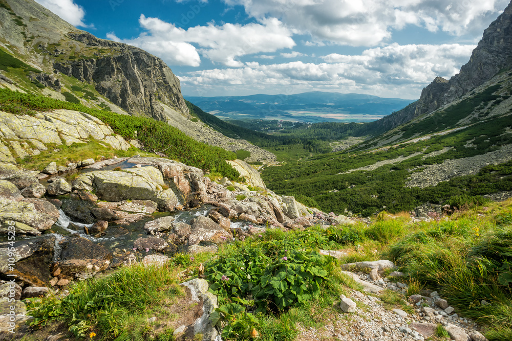 Fototapeta premium Hohe Tatra