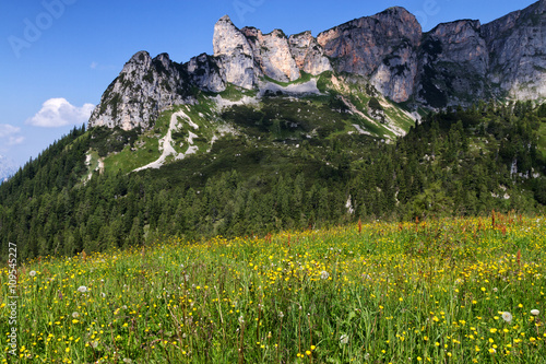 Mountain alpine meadow with wildflowers in the Rofan mountains. Austria, Tirol.