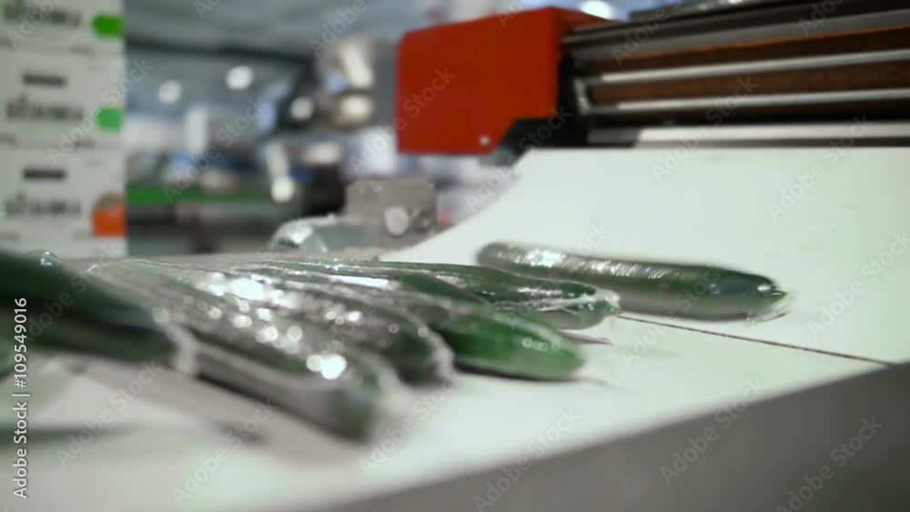 Ready for Sell Cucumbers Are Moving On A Conveyor System Ready for Sell Cucumbers Are Moving On A Conveyor System