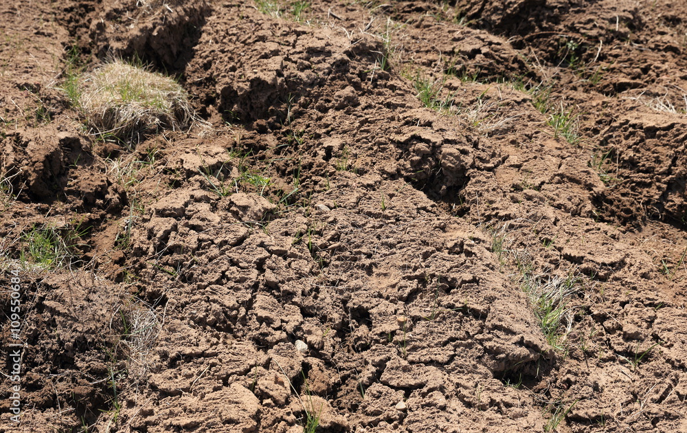 Plowed field.
Close up of cultivated soil in early spring. Plowed field.
Close up of cultivated soil in early spring.