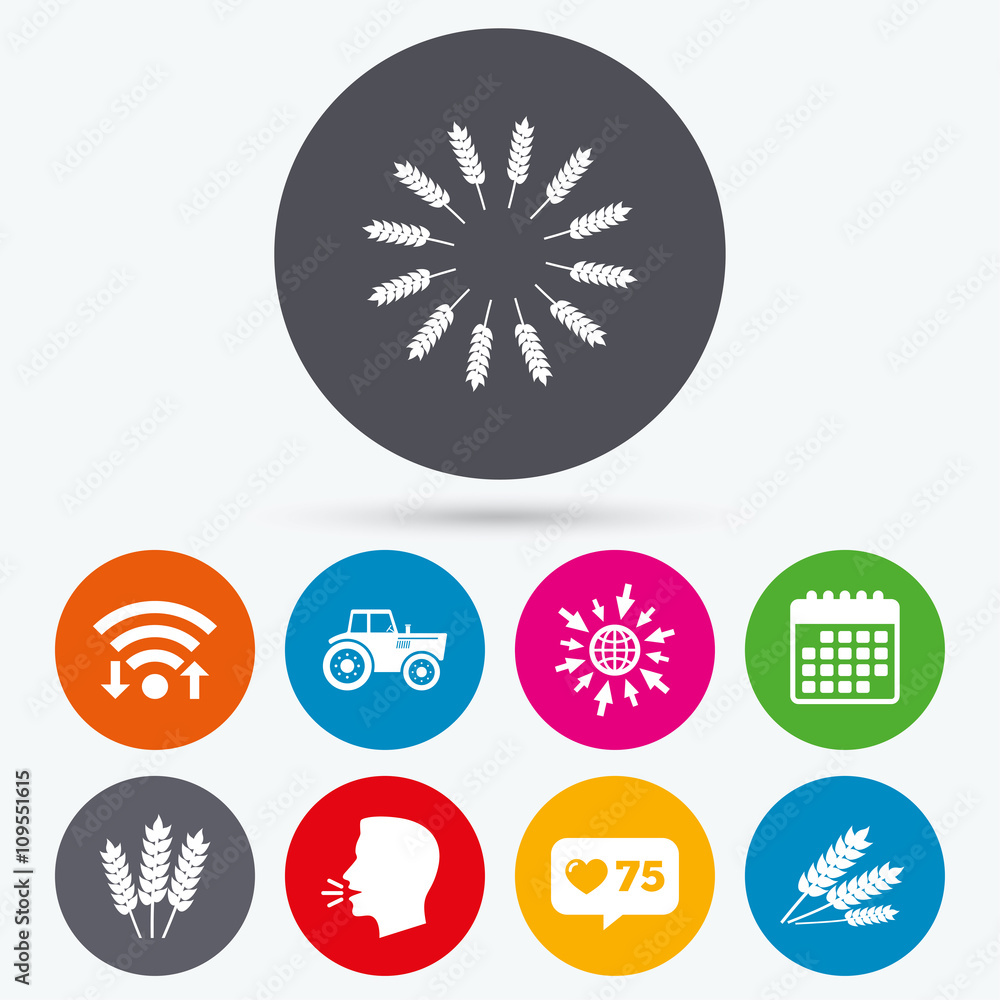 Agricultural icons. Wheat corn or Gluten free. Agricultural icons. Wheat corn or Gluten free.