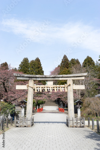 Wallpaper Mural 仙台東照宮　鳥居 Torontodigital.ca