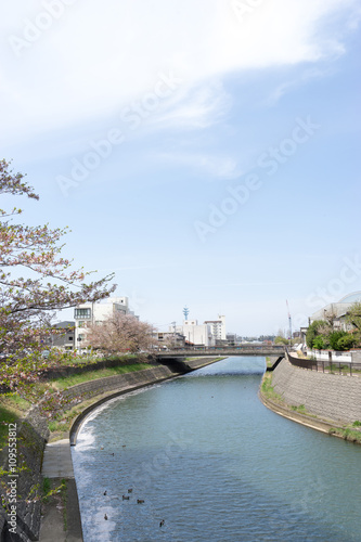 Wallpaper Mural いたち川　太平橋より Torontodigital.ca