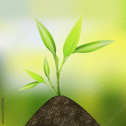Think green and ecology concept. Growing plant in soil and nature background.