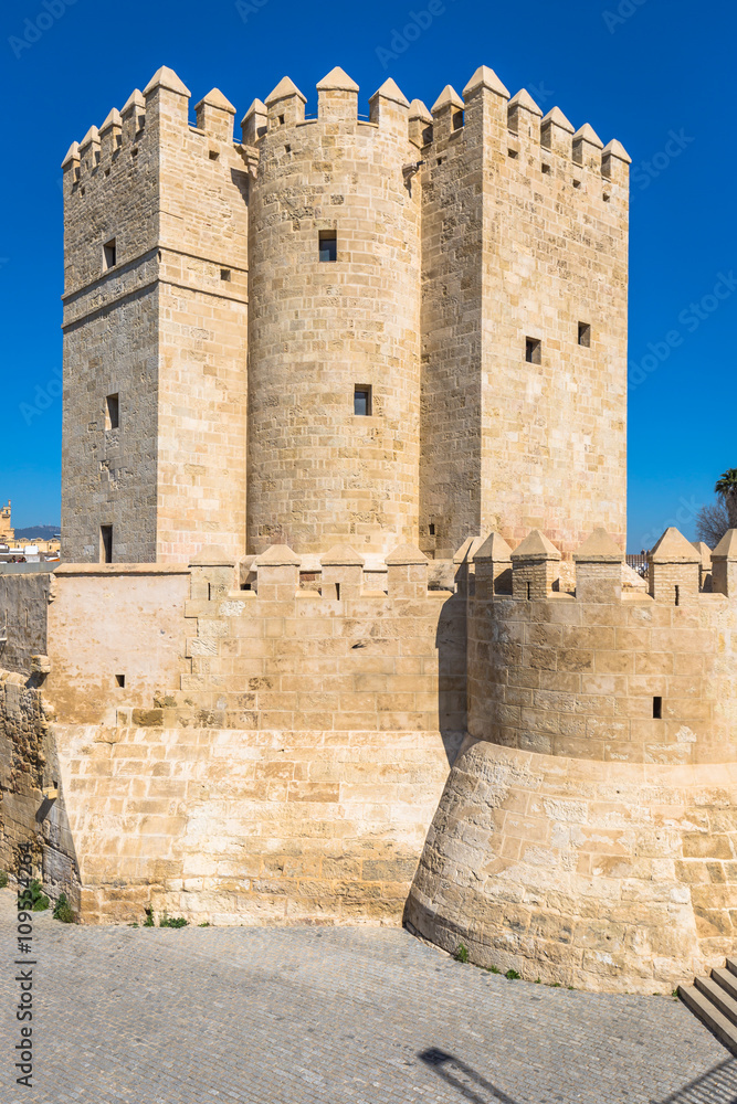 Calahorra tower, Cordoba, Andalucia, Spain