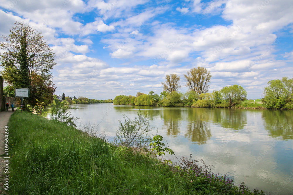 Obraz premium Neckarauen