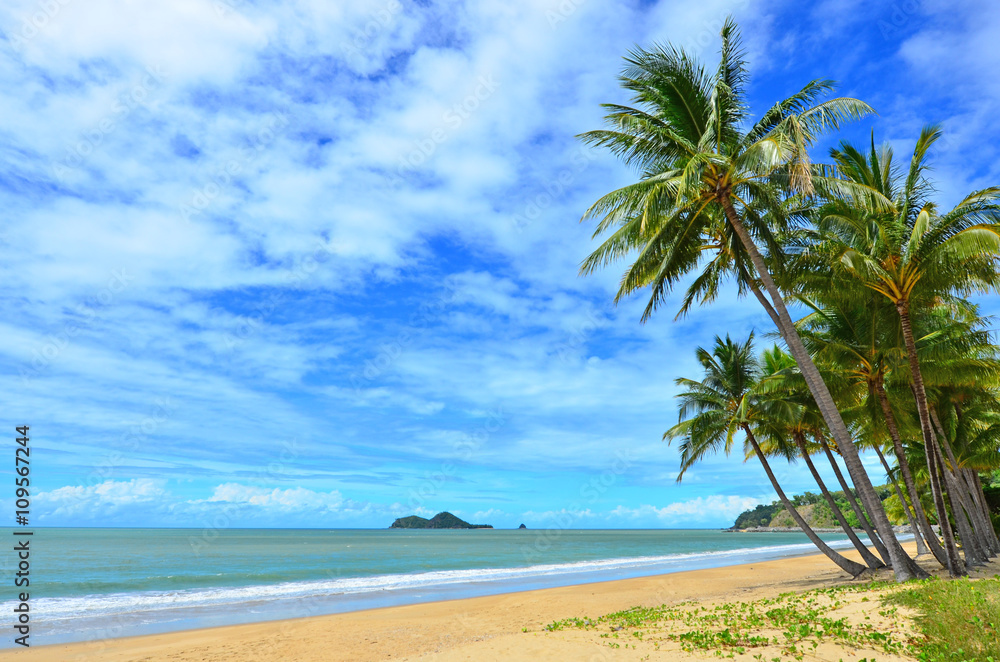 Fototapeta premium Ellis beach in Cairns Queensland Australia