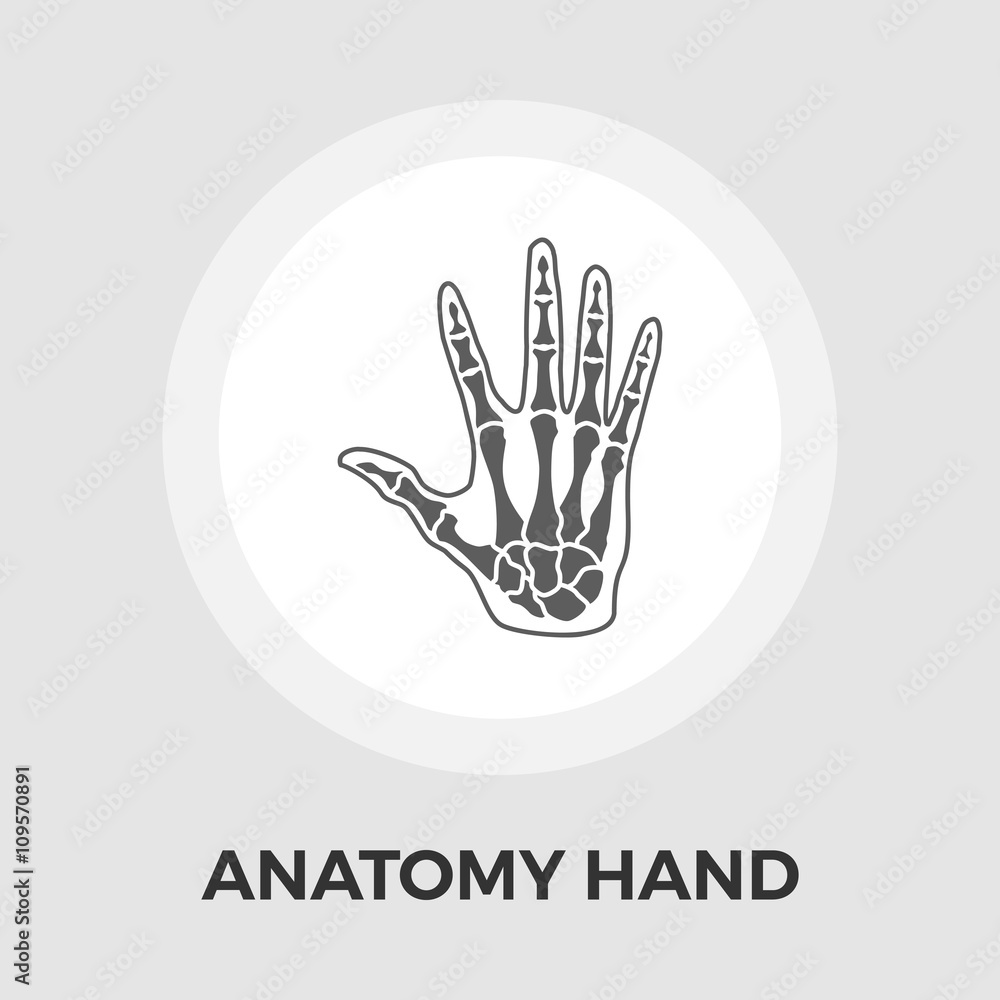 Anatomy hand Vector Flat Icon Anatomy hand Vector Flat Icon