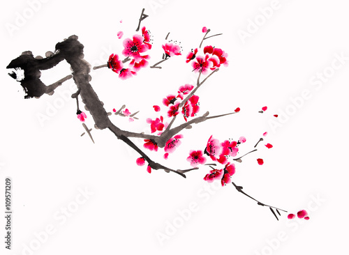 Chinese watercolor cherry painting