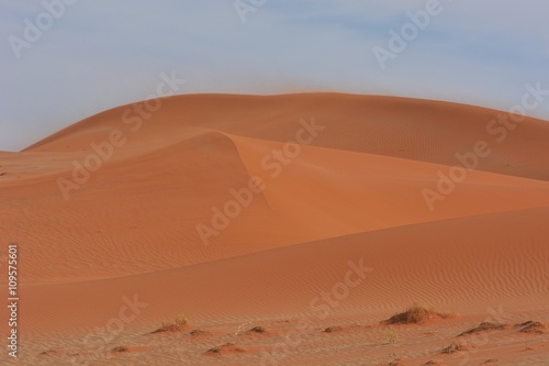 Sandd  nen im Sossusvle  Namib-Naukluft-Nationalpark 