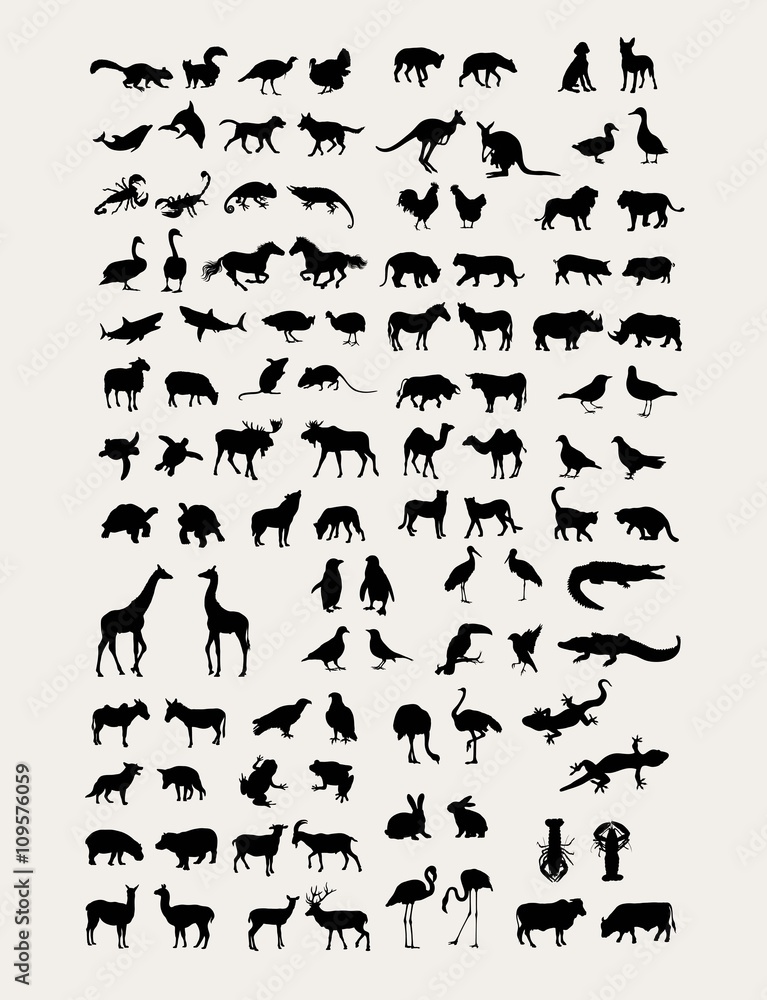 Naklejka premium Animal Silhouette Collection, art vector design