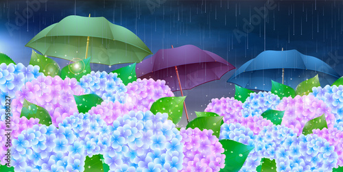 あじさい　梅雨　風景　背景
