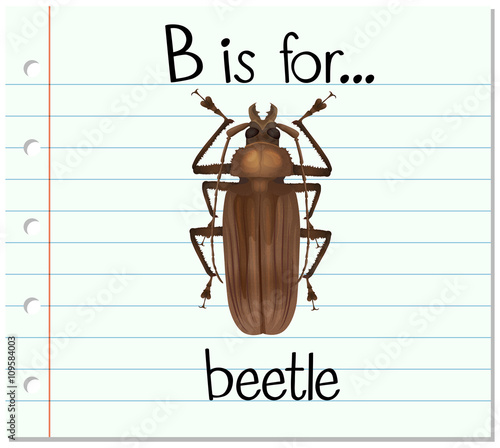 Flashcard letter B is for beetle