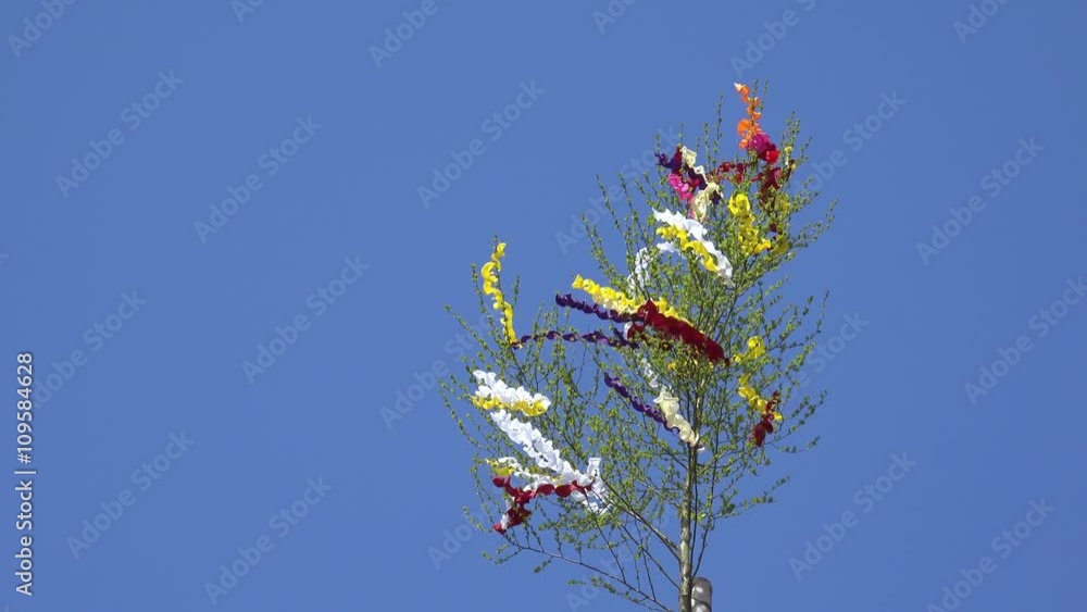 Maibaum mit bunten Bändern vor blauem Himmel Maibaum mit bunten Bändern vor blauem Himmel
