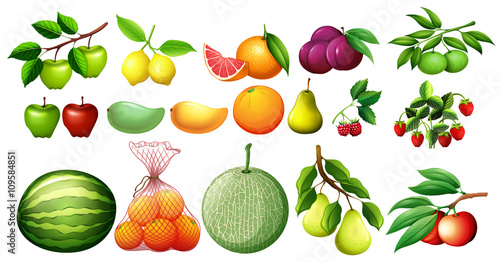 Different kind of fruits