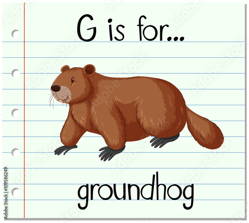 Flashcard letter G is for groundhog