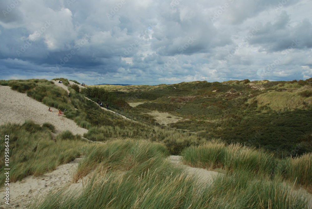 Fototapeta premium Dunes du Touquet
