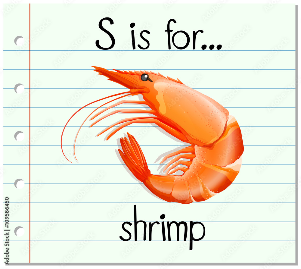 Flashcard letter S is for shrimp Stock Vector | Adobe Stock