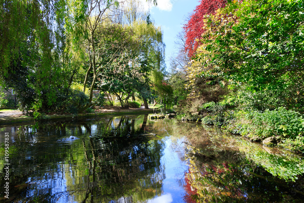 Trees around New River Walk, London