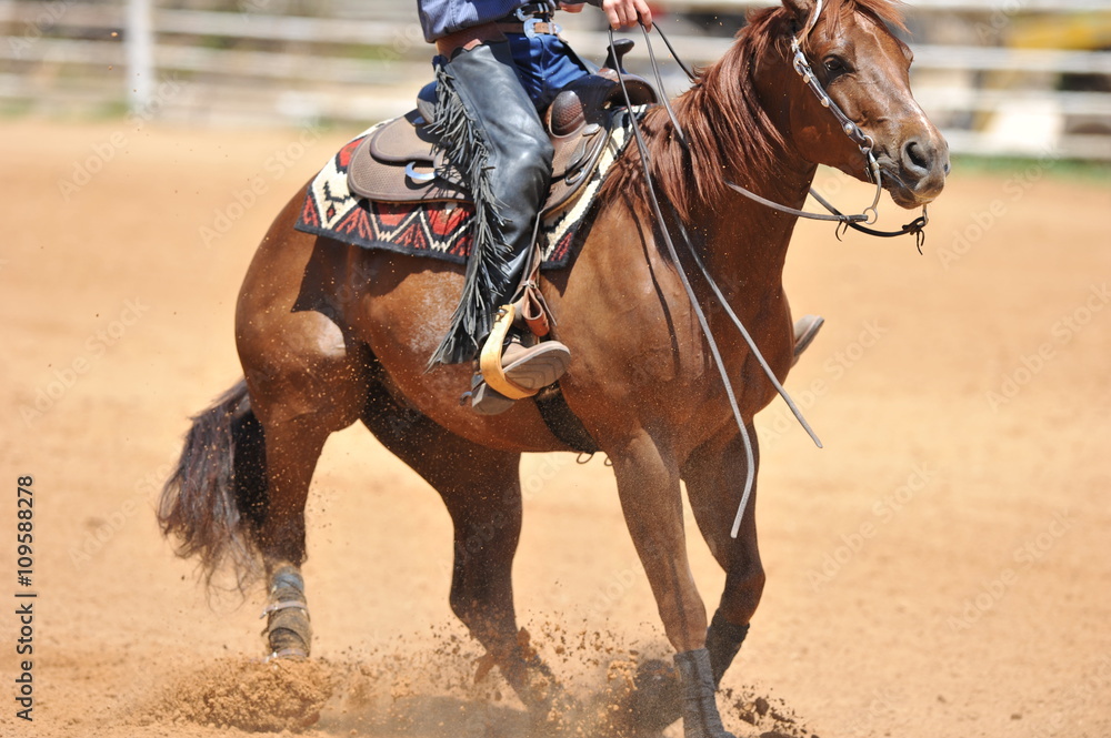 Fototapeta premium Fragment of the side view of a rider in the chaps on a horseback during the NRHA competition.