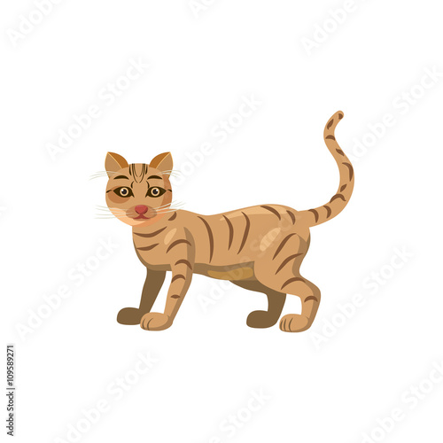 Cat icon in cartoon style