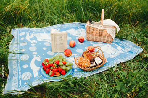 Fototapeta Naklejka Na Ścianę i Meble -  Picnic Basket with apples, strawberry and book on meadow