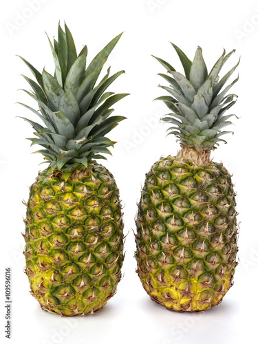 Two Pineapples on White © Dan Kosmayer