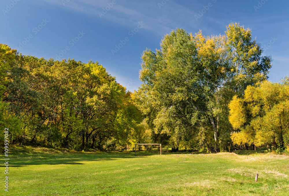 Green meadow in the autumn forest