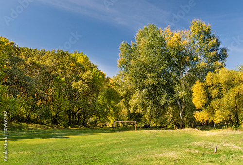 Green meadow in the autumn forest