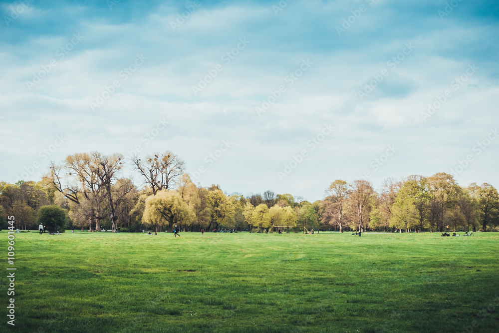 Scenic wide green meadow and deciduous trees