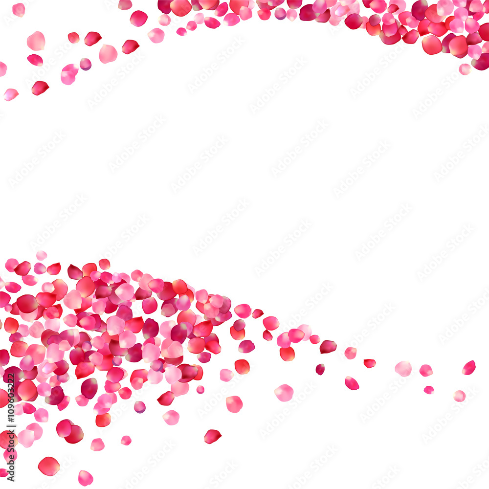 pink rose petals waves background pink rose petals waves background