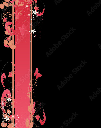 barre rose
