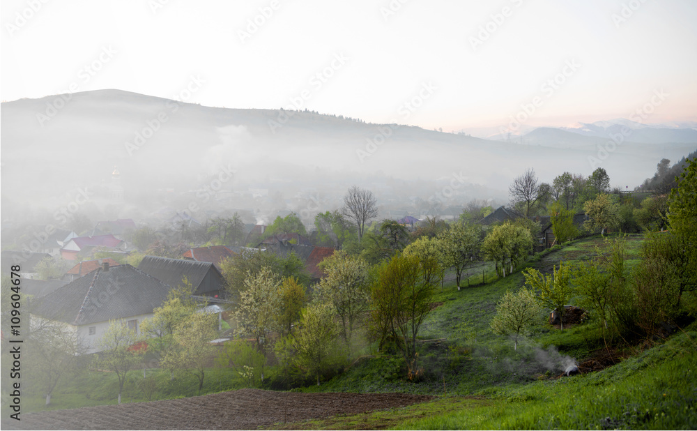 Obraz premium Spring landscape of scenic forest