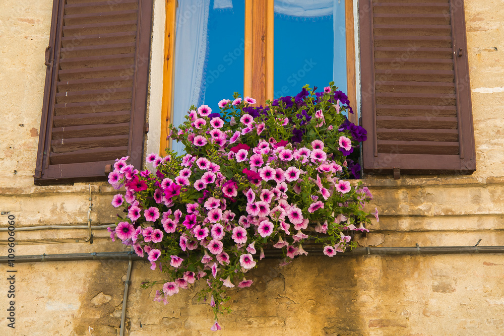 Window with a vase of petunia flowers