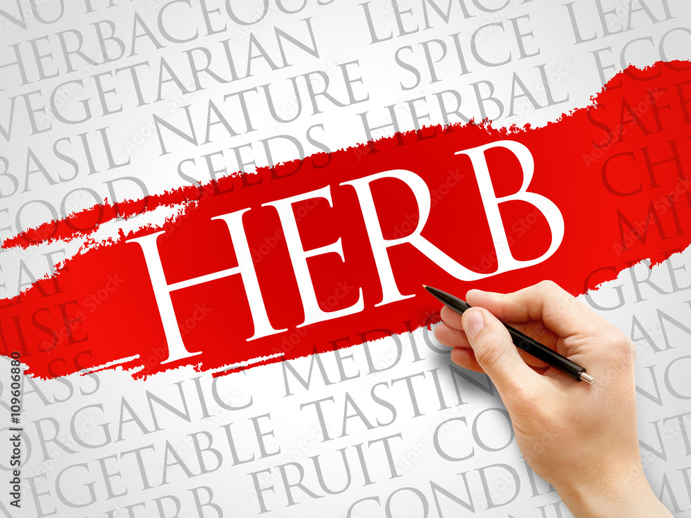 HERB word cloud, health concept HERB word cloud, health concept