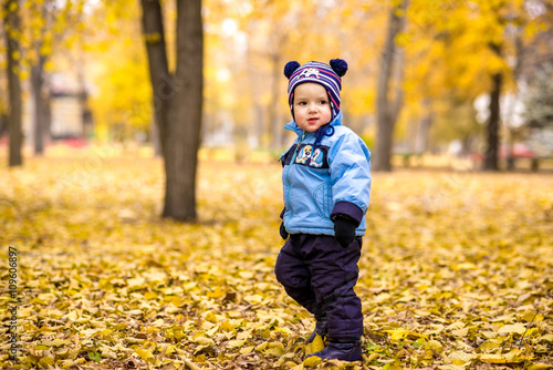 Little baby boy in the autumn park