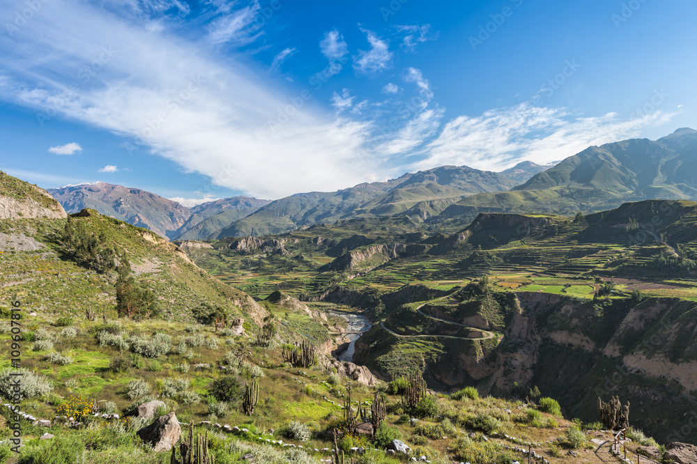 Fototapeta premium Beautiful Natural view from The Colca Canyon, the deepest canyon