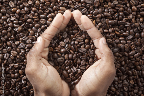 human hand holding coffee beans.