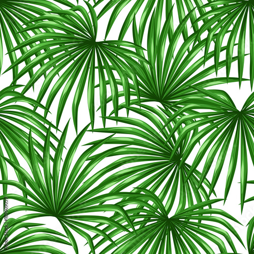 Seamless pattern with palms leaves. Decorative image tropical leaf of palm tree Livistona Rotundifolia. Background made without clipping mask. Easy to use for backdrop  textile  wrapping paper