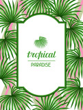 Paradise card with palms leaves. Decorative image tropical leaf of palm tree Livistona Rotundifolia. Image for holiday invitations, greeting cards, posters, brochures and advertising booklets